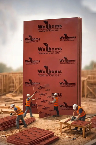 Premium Plywood